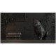 Altoparlanti portatili di Bluetooth della Black Matt Jarre Technologies AeroBull XS1