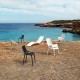 Lot de 4 Fauteuils Vondom Ibiza avec accoudoirs Bleu marine