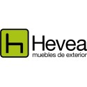 Hevea